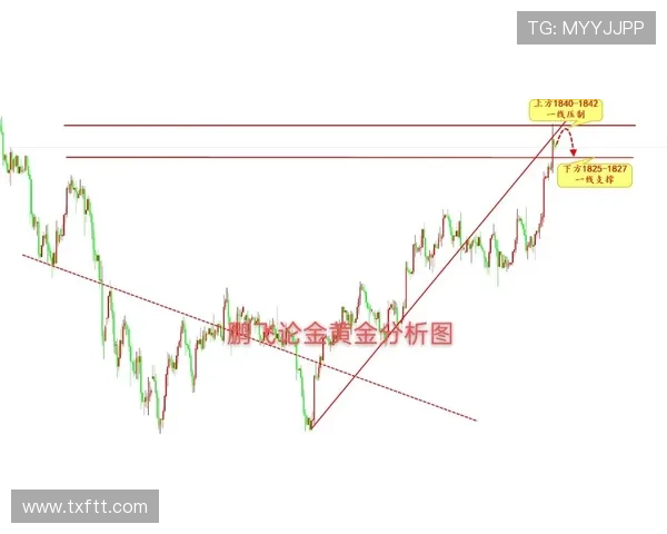 全面解析M5BET平台优势与安全保障措施